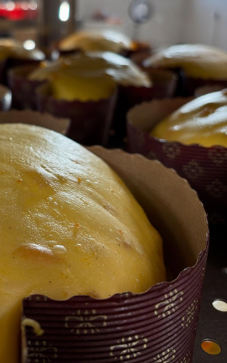 laboratorio artigianale pandori panettoni colombe