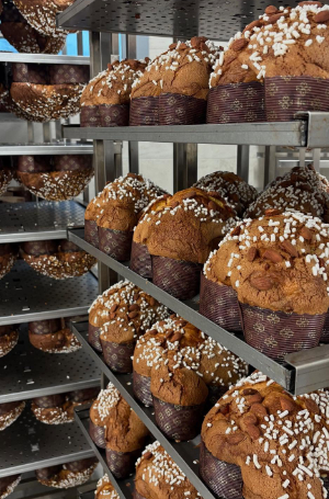 laboratorio artigianale pandori panettoni colombe