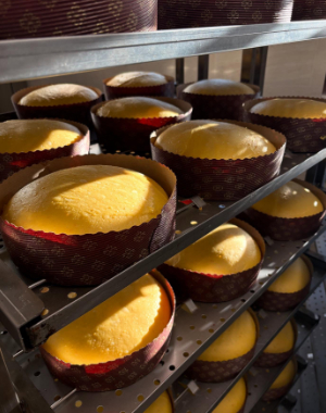 laboratorio artigianale pandori panettoni colombe